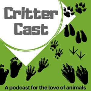 Episode 39: Not from Guinea, Not Really Pigs