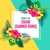 Calma (Summer Remix) - Single