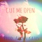 Cut Me Open - Young Drugs lyrics