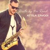 Attila Závodi - Beetle by the Road