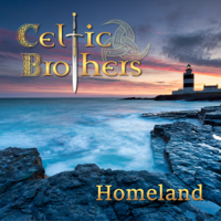 Celtic Brothers - Homeland artwork