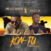 Kon Fu (feat. Drizilik) artwork