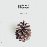 Gabriel & Dresden - Remedy artwork
