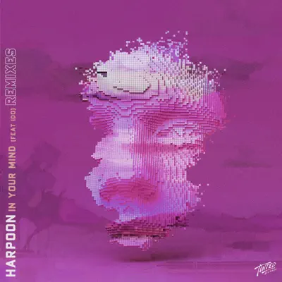 In Your Mind (Remixes) [feat. Ido] - EP - Harpoon