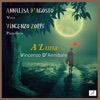 Vincenzo D'Annibale: A'luna - Single