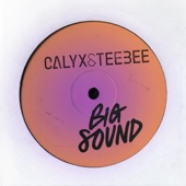 Calyx & TeeBee - Big Sound