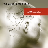 The Voice In Your Head artwork