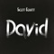 David - Scott Gobett lyrics
