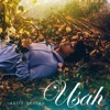 Ariff Bahran - Usah