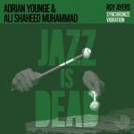 Adrian Younge, Roy Ayers & Ali Shaheed Muhammad - Synchronize Vibration