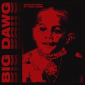 Big Dawg (feat. Rick Ross) artwork