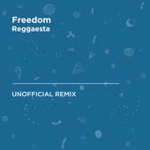 Freedom (Anthony Hamilton) [Reggaesta Unofficial Remix] artwork
