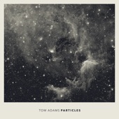 Tom Adams - Particle V