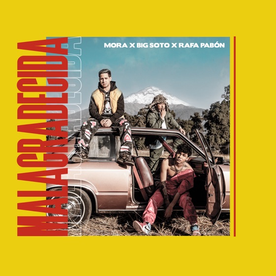 Cover artwork for Malagradecida