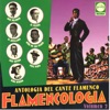 Antología del Cante Flamenco. Flamencología, Vol. 2
