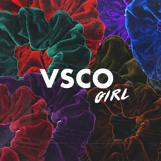 Cover artwork for Vsco Girl