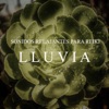Reiki Armonía - Sonidos Relajantes para Reiki: Lluvia, Pt. 22