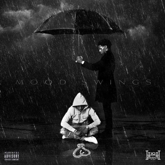 Cover artwork for Mood Swings