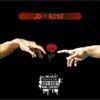 Rose - Single