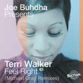 Feel Right (Michael Gray Remixes) - EP artwork