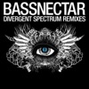 Divergent Spectrum Remix - EP