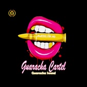 Guaracha Cartel Vol. 1 artwork