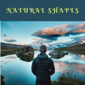 Natural Shapes artwork