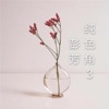 彭芳 - 风吹草动