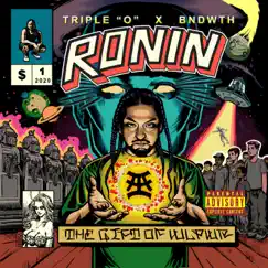The Gift of Wlpwr by Ronin Gray album reviews, ratings, credits