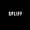 Spliff (feat. Isis Aset) - DevlonBeats lyrics