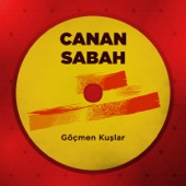 Nişanlım artwork