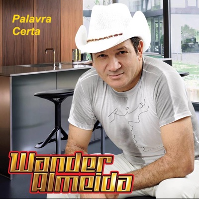Palavra Certa - Wander Almeida