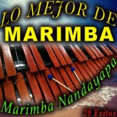 Marimba Nandayapa - Dios nunca muere