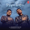 Teriyan Gallan - Single