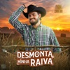 Desmonta Minha Raiva - Single