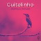 Cuitelinho - Matheus Donato lyrics