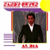 Sandy Reyes - Mi Vida Es Un Martirio