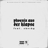 Phoenix aus der Klapse (feat. Shocky) artwork