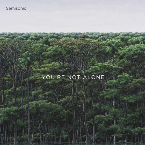 Cover artwork for You're Not Alone