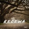 Kecewa (Single) artwork