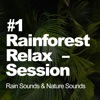#1 Rainforest Relax Session