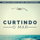 Curtindo o Mar artwork