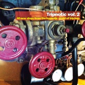 Tripnotic, Vol. 2 (40 New Steps from the Hypnotic World of Trip Hop) artwork