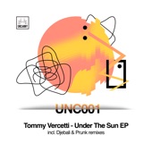 Under the Sun artwork