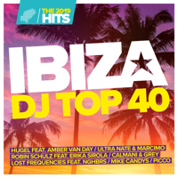 Various Artists - Ibiza DJ Top 40: The Hits 2019 artwork