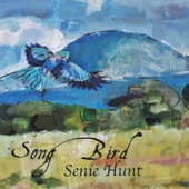Senie Hunt - The Coming Storm