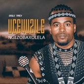 Ngizobaxolela artwork