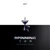 SPINNING TOP : BETWEEN SECURITY & INSECURITY - EP