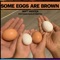 Some Eggs Are Brown (feat. Marley Merten) - Matt Merten lyrics