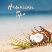 Hawaiian Spa – Relaxation Music with Nature Sounds, Ukulele, And New Age Tracks artwork